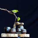 어름2(동박새) 이미지