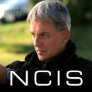 지금 난리 난 ncis 팬덤 상황(시즌12피날레 리얼 스포주의) 이미지