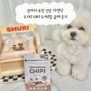 (주)길보사료산업 | 강아지 추천 건강 자연식 도기넛 돼지 도기넛칩 급여 후기