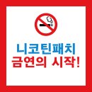 편리한주차약국 | 니코틴패치 효과와 부작용, 사용법·실제 후기까지 한눈에 정리