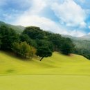 삼남개발(주) 기흥컨트리클럽 이미지