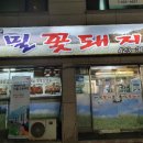 메밀꽃돼지