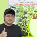 세계농약사