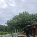 휴가펜션 | 울산 울주 가족 계곡 평상 펜션 휴가 후기