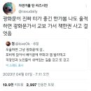 우울하면 그냥 광화문에 감 이미지