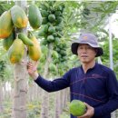 임마누엘팜 이미지