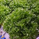 제이농장 이미지