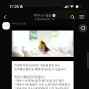 레미니스 이미지
