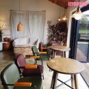 더 아도록 이미지