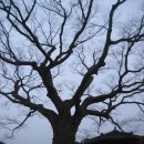 GS25 화령터미널점 | 걸어서 서울역에서 부산역까지(15일차: 보은군 마로면 -> 상주시)