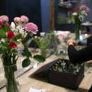 라떼플로라 이미지