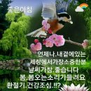 지나의하루