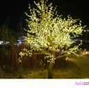 낙조분수 이미지