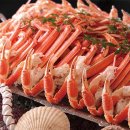 라이프온천 이미지