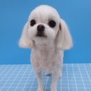 힐스 펫살롱 이미지