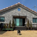 마당바베큐 | 강화도 애견동반펜션 옥토하우스 시설, 마당, 바베큐부터 전등사 여행 후기까지