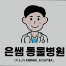 은쌤동물병원 이미지
