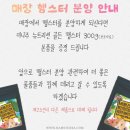 햄스테라