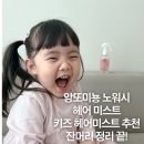 앙또미뇽 노워시 키즈 헤어미스트 어린이 헤어에센스 후기