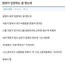 건아 이미지