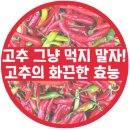 머슬닭발