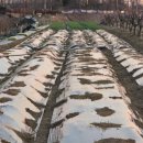 푸르른 농장 이미지