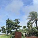 인스밀 | [제주]서귀포 오션뷰 감성 카페 추천_인스밀