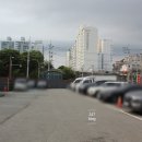 하단동1164 이미지