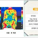 바디닥터 이미지