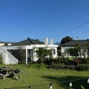 평대대수굴바당조끄띠 이미지