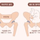 올인원피티앤테라피 이미지