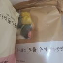 굳지않는 꿀떡 아리울떡공방 냉동 모둠 수제 꿀떡 내돈내산 후기