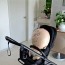 한손 | 절충형 유모차 부가부 드래곤플라이 한손 폴딩 주행 후기