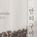 이오커피 - 수성구 파동 | 이오커피