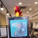 어벤더치 이미지