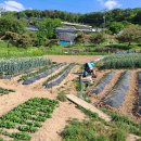 강남권 최고입지 내곡동 그린벨트 이미지