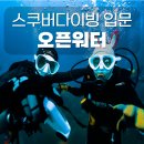 수영 1도 못하던 직장인의 찐 후기! 잠실 스쿠버다이빙 펀펀다이브클럽에서 시작했어요