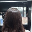 솔루미헤어 이미지