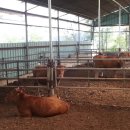 만섭농장 이미지