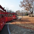 수원-1793 이미지