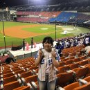 안녕하세요 영어영문학부 24학번 낭생낭사 최유진입니다 이미지