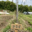 농사이야기 농담 이미지