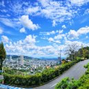 소로3-290 이미지