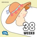 임신 38주) 새봄여성병원 38주 검진(내진, 태동검사), 백일해주사 접종 병원 찾기(가격 비교), 배크기