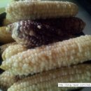 용대농장 이미지