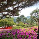 (주)D&A 네이버블로그