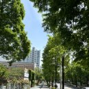 한스이비인후과의원 | [정신의학과 진료기록] 240527 첫 방문_마음 감기 챙기고, 몸 감기도 챙긴 날.