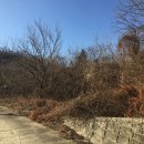 미천면-2 이미지