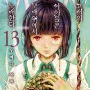 고래의 모험 이미지