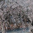 우솔 이미지